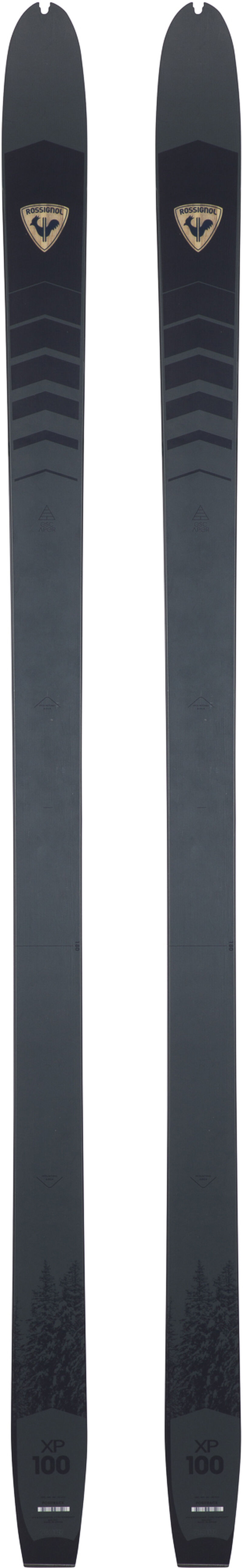 Rossignol Skis de fond Backcountry unisexe XP 100 Positrack Multicolor